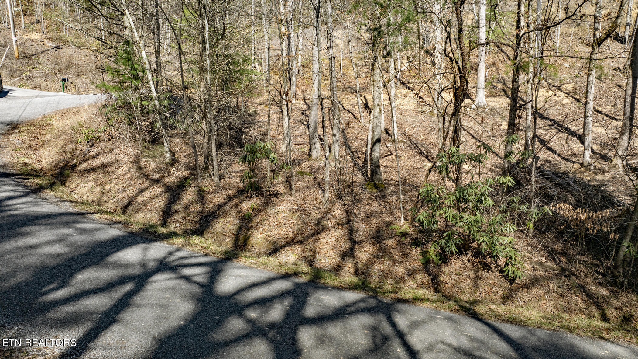 272 Cove Hollow Road Cosby, TN 37722 - Photo 9 of 17 COVE HOLLOW 7