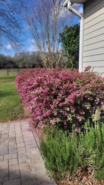 1198 Southwest 104th Street Road Ocala, FL 34476 - Photo 89 of 93