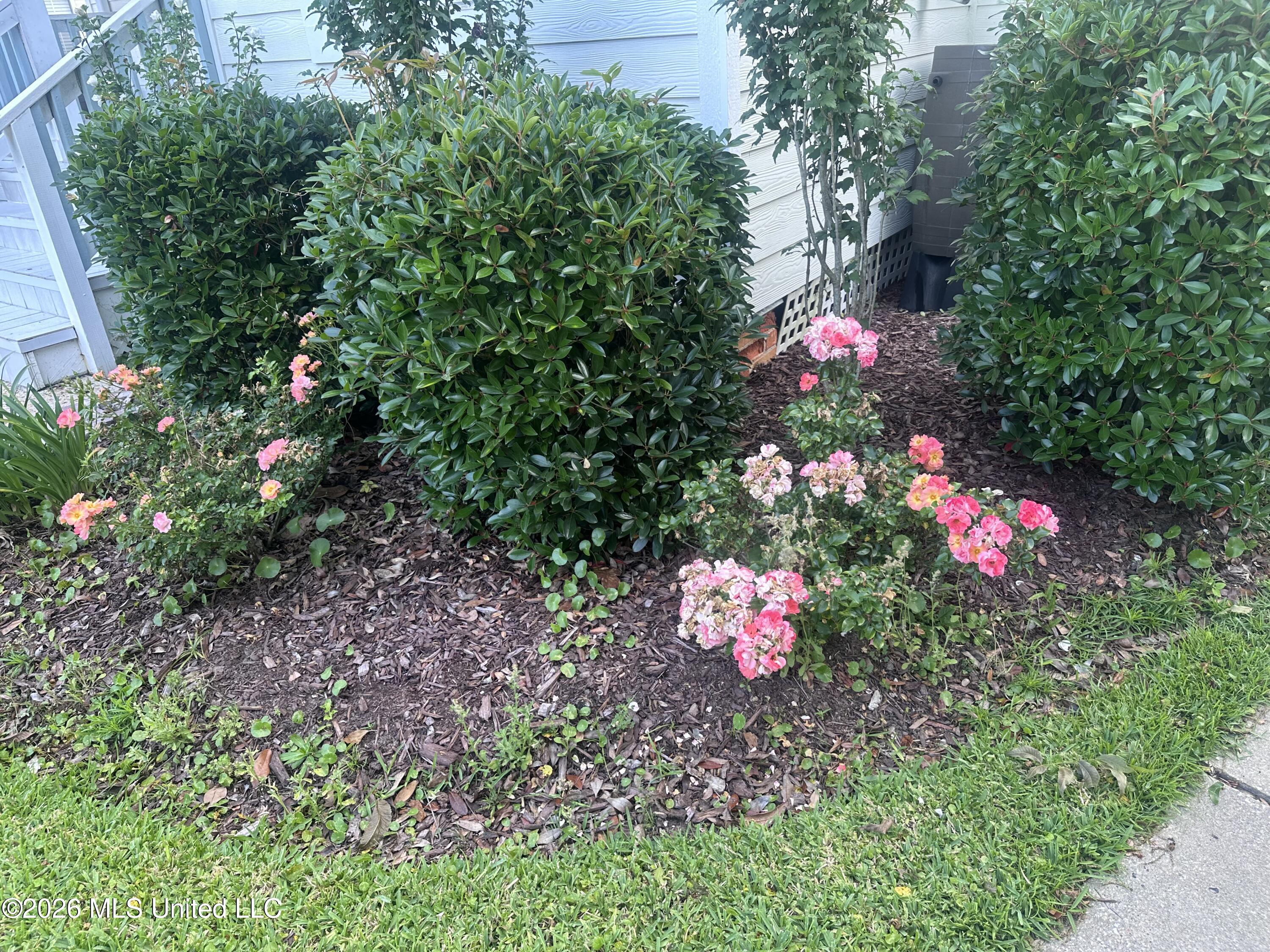 5130 Arthur Street Moss Point, MS 39563 - Photo 5 of 41 IMG_6988