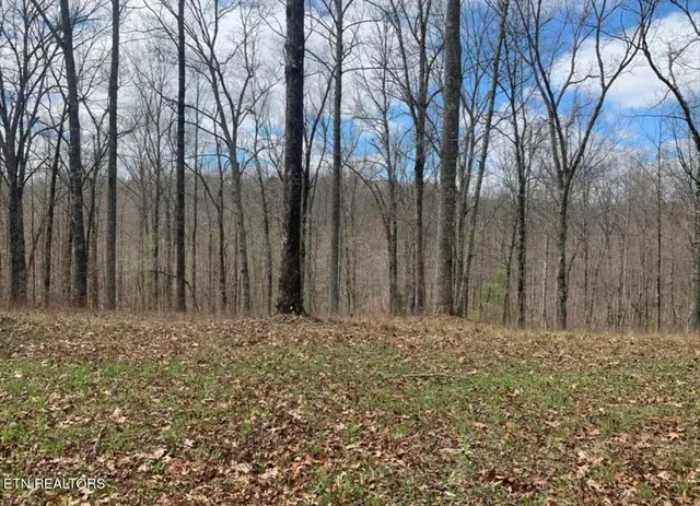 a view of wooden fence