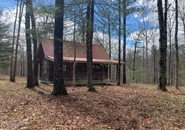 a view of a house with a yard and tree s