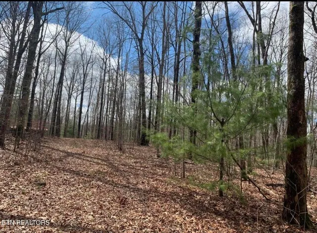 a view of backyard with green space