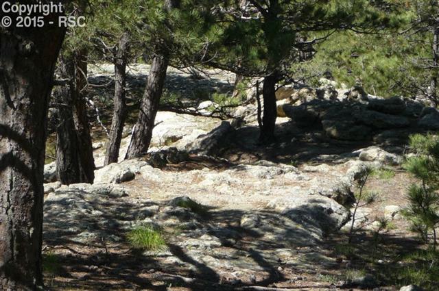 18145 Cumbres Road Peyton, CO 80831 - Photo 21 of 30 Gallery Image 21