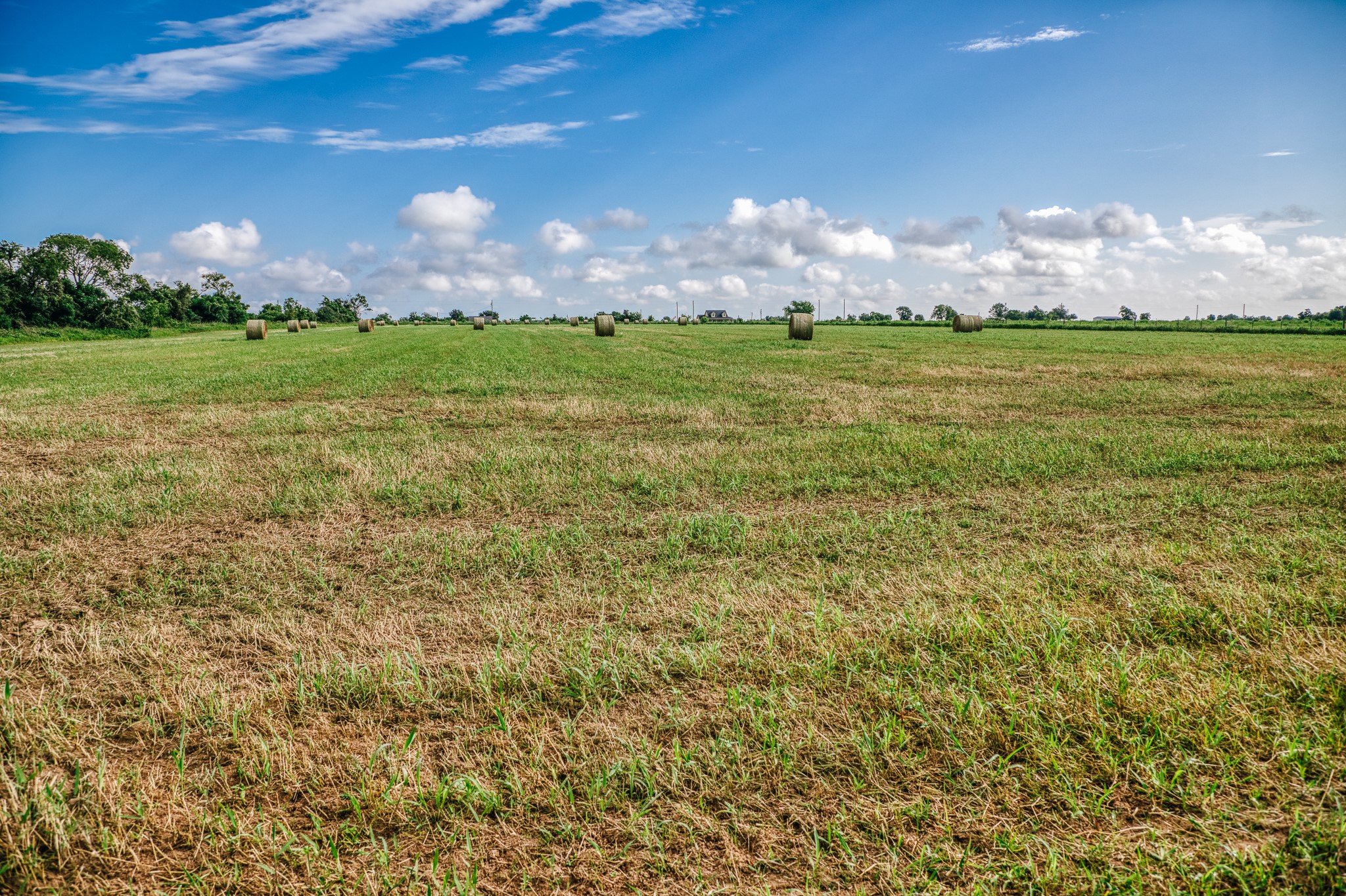 0 Richard Frey Road Waller, TX 77484 - Photo 19 of 23