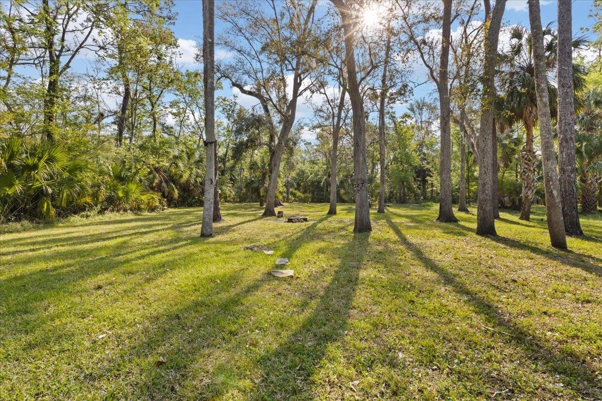 1506 North Cedar Street Steinhatchee, FL 32359 - Photo 52 of 65