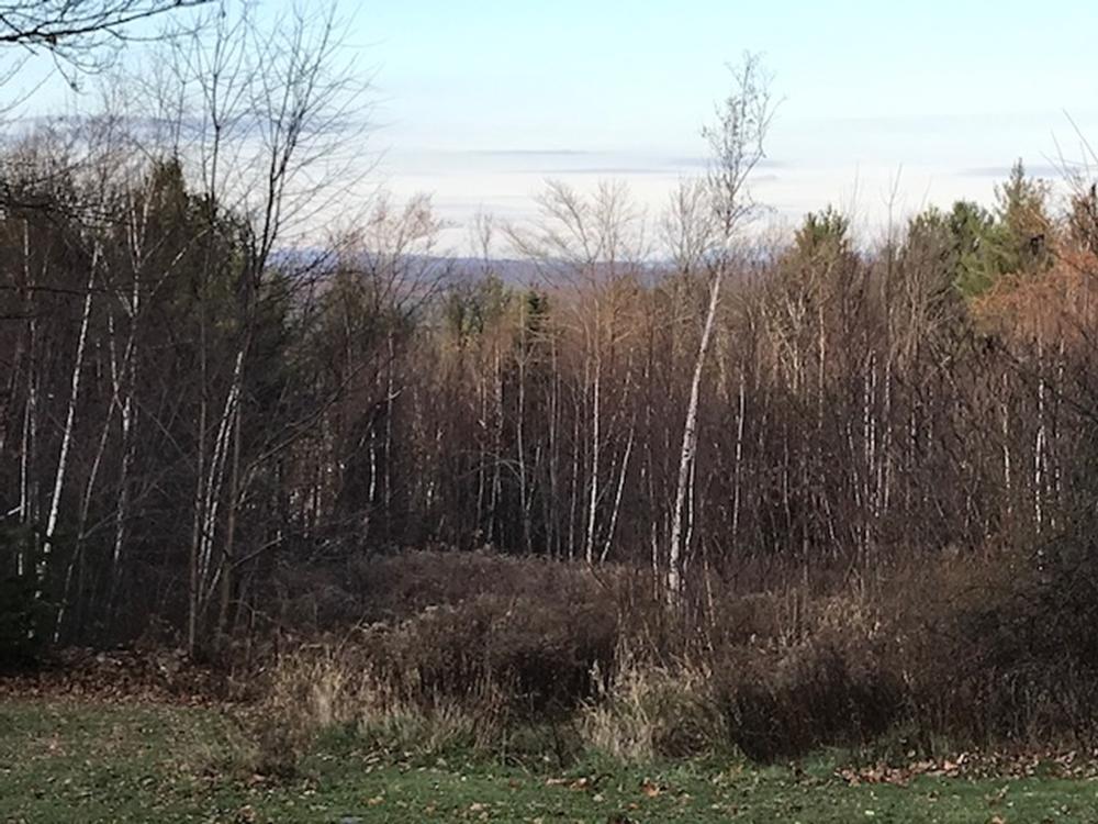 100 Huntington Hill Road Weare, NH 03281 - Photo 1 of 14 Gallery Image 1