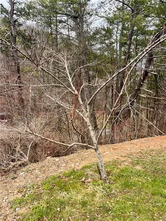 $225,000 | 4432 County Route 1, Campbell, NY 14821