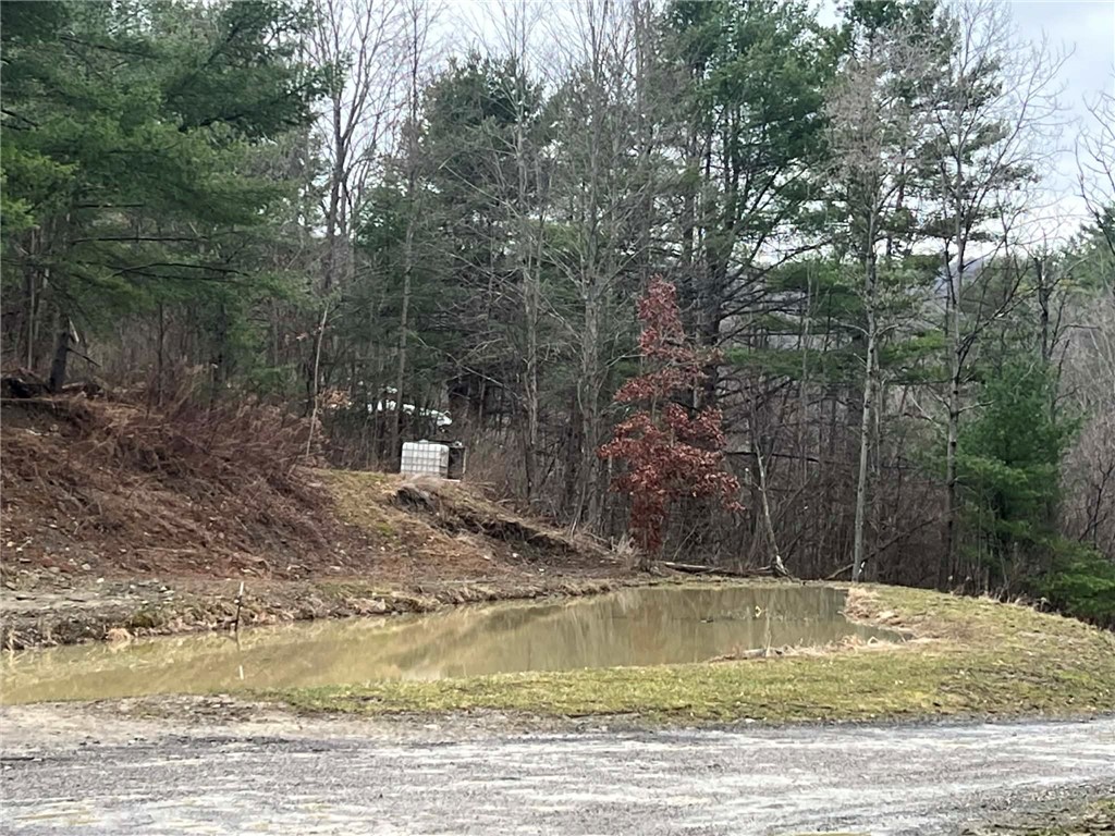 4432 County Route 1 Campbell, NY 14821 - Photo 6 of 31 Pond