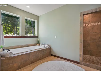 a bathroom with a bathtub and a shower