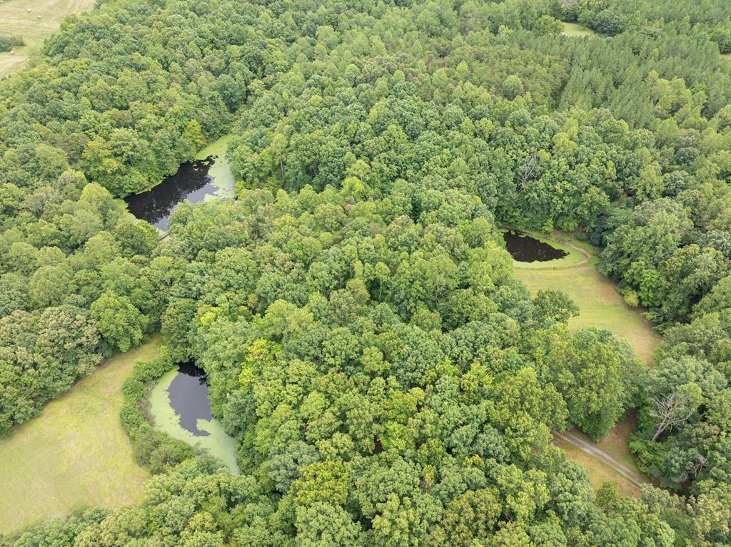 516-480 Perkins Mill Road Dillwyn, VA 23936 - Photo 8 of 15 Gallery Image 8