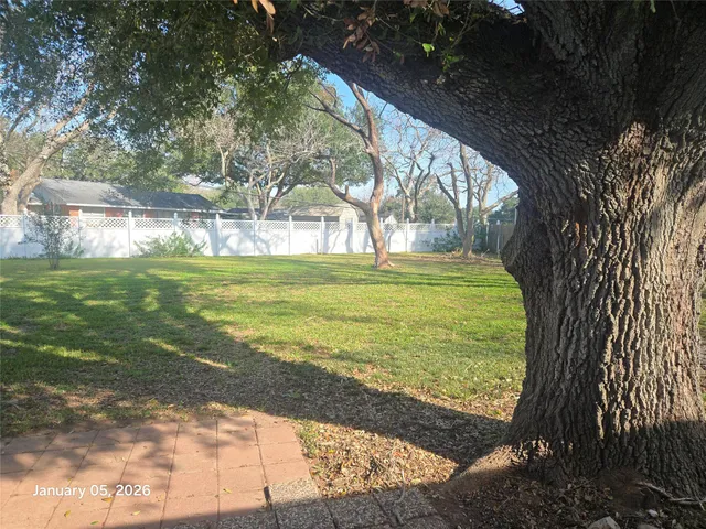 a view of open space with a big yard