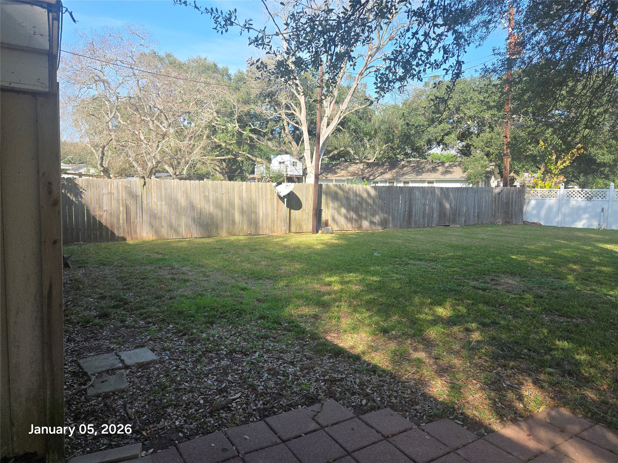 515 Breezy Lane Wharton, TX 77488 - Photo 5 of 18 a view of backyard with tree