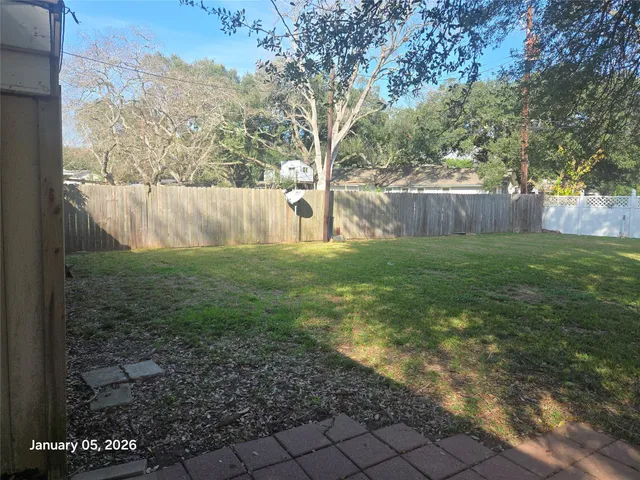 a view of backyard with tree