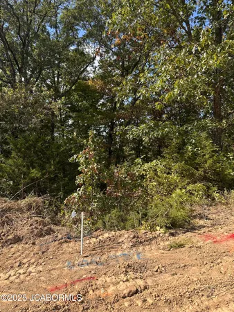 $56,000 | Lot 37 Sterling Ridge, Holts Summit, MO 65043