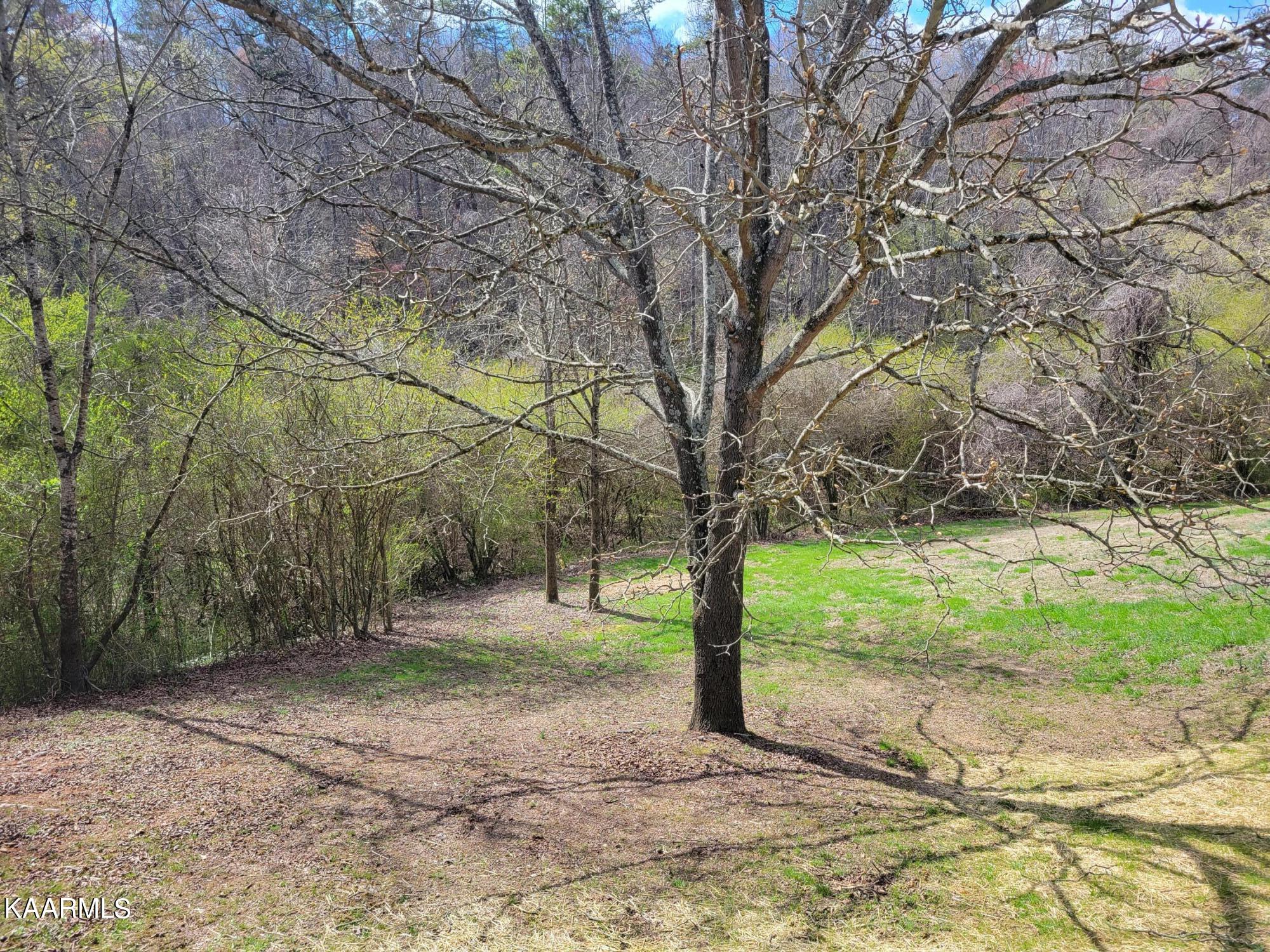 903 Offutt Road Clinton, TN 37716 - Photo 22 of 23 20230314_153746
