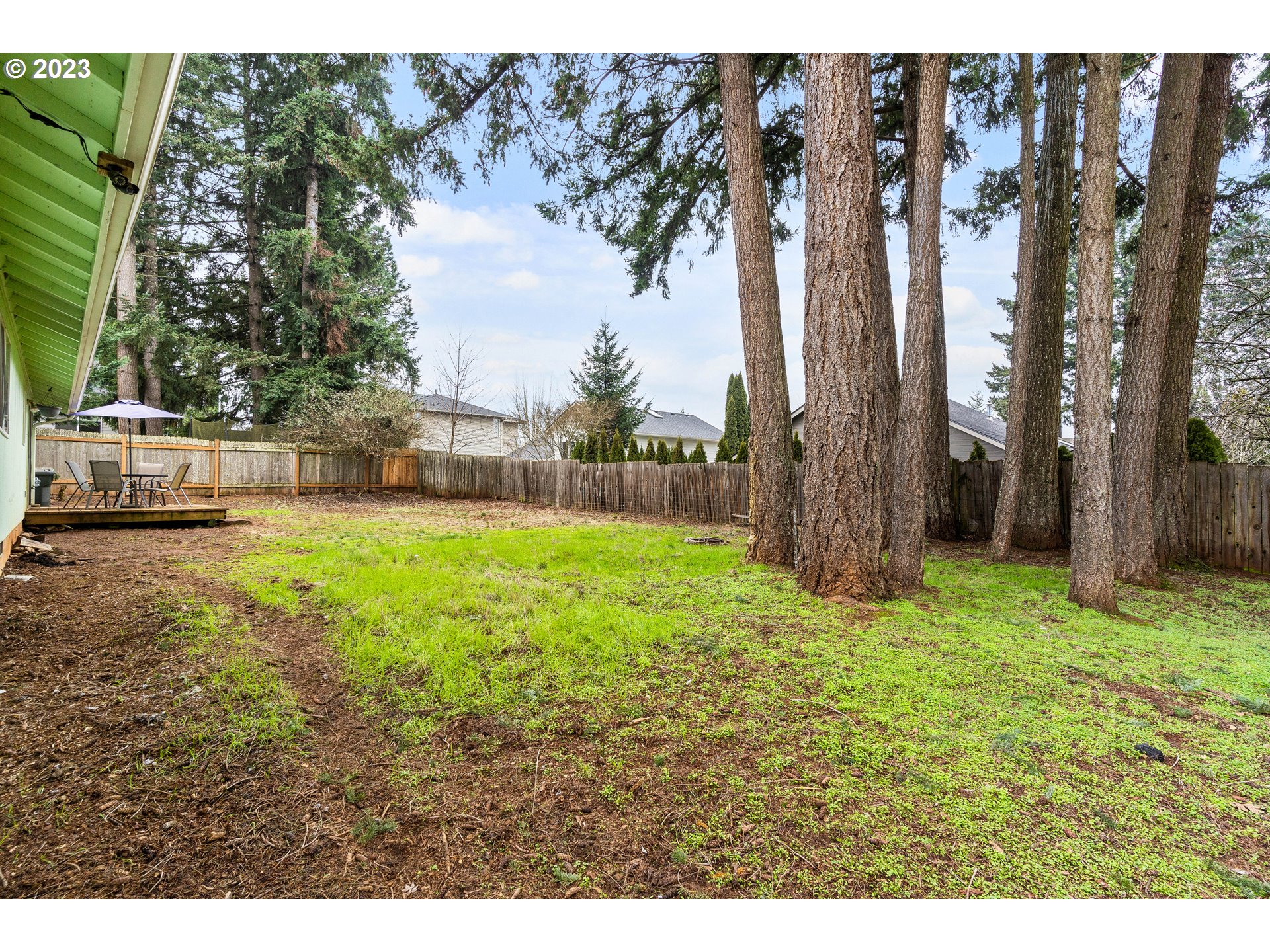 1484 Wiltsey Road Southeast Salem, OR 97306 - Photo 24 of 31 a view of a yard with palm tree