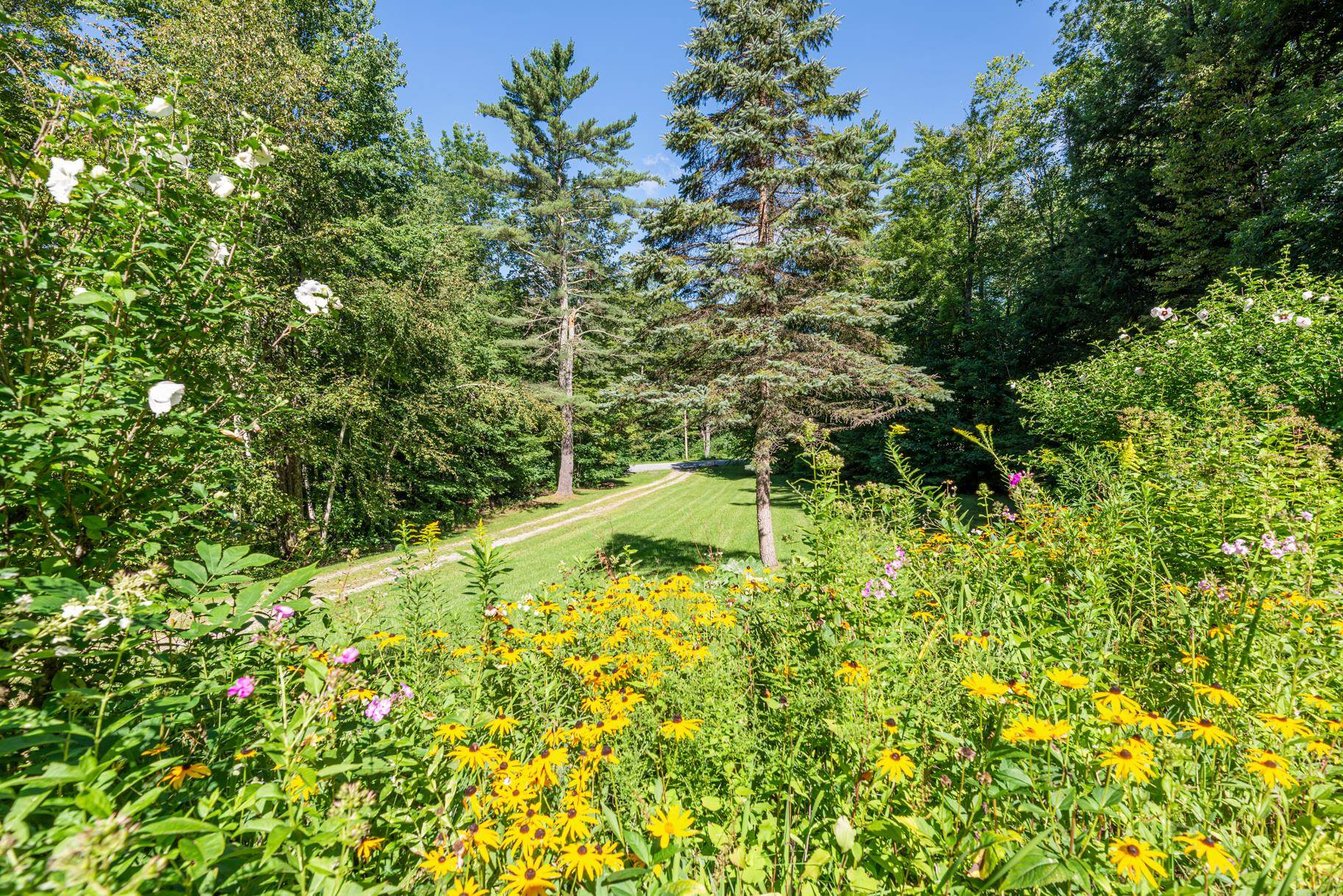 535 Dunlap Farm Road Sunderland, VT 05250 - Photo 6 of 14