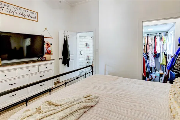 a view of a backyard with plants and large tree