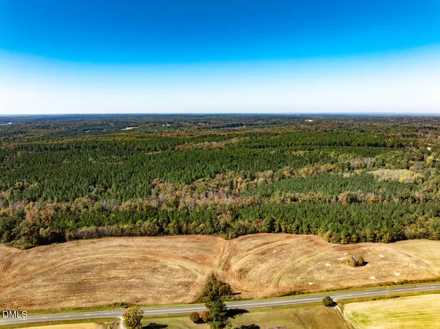 a view of a field with a tree