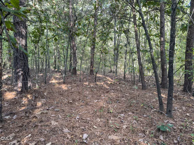 a view of an outdoor space and a yard