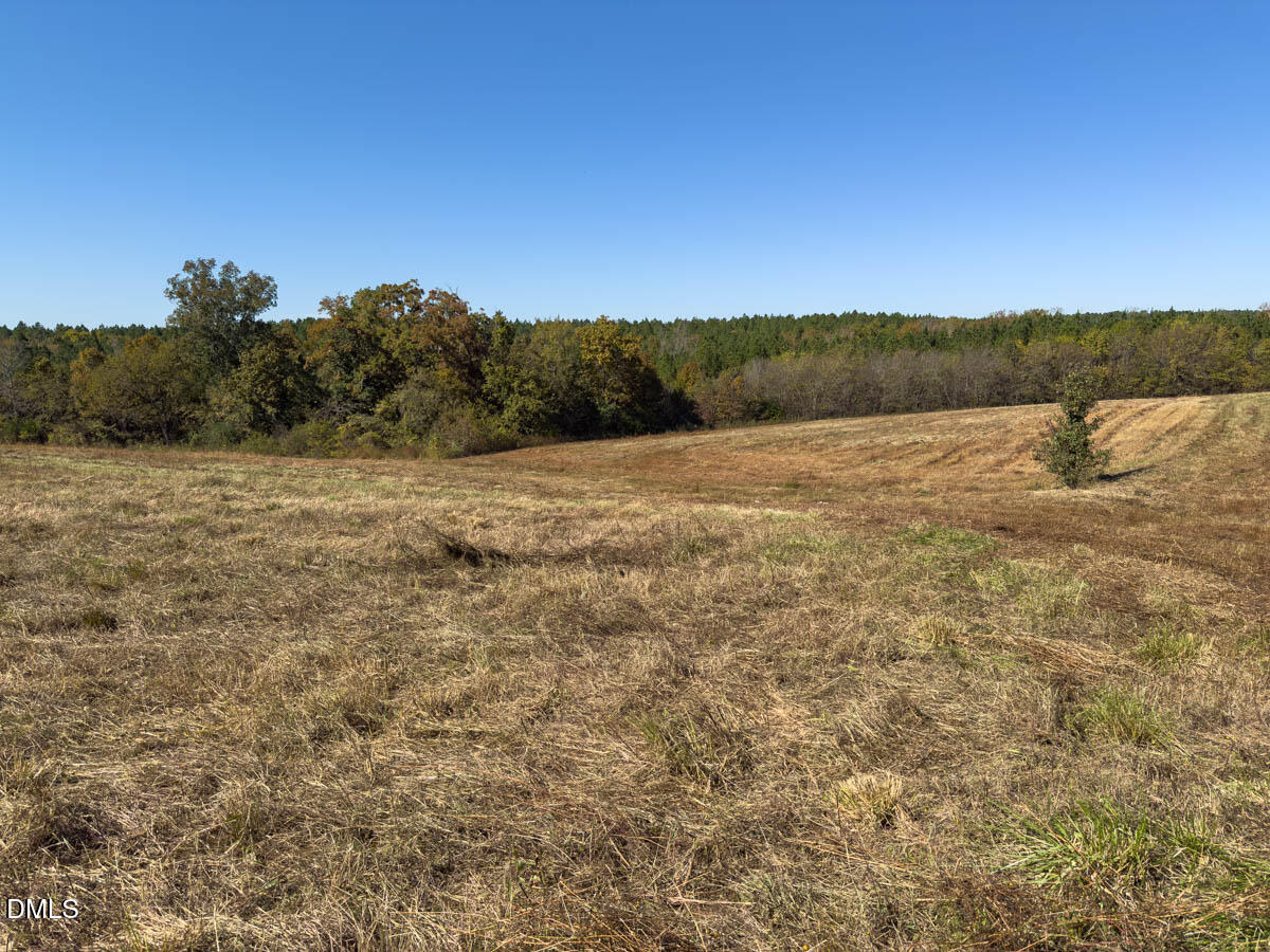 0 Ephesus Church Road Semora, NC 27343 - Photo 20 of 45 a view of an outdoor space and a yard