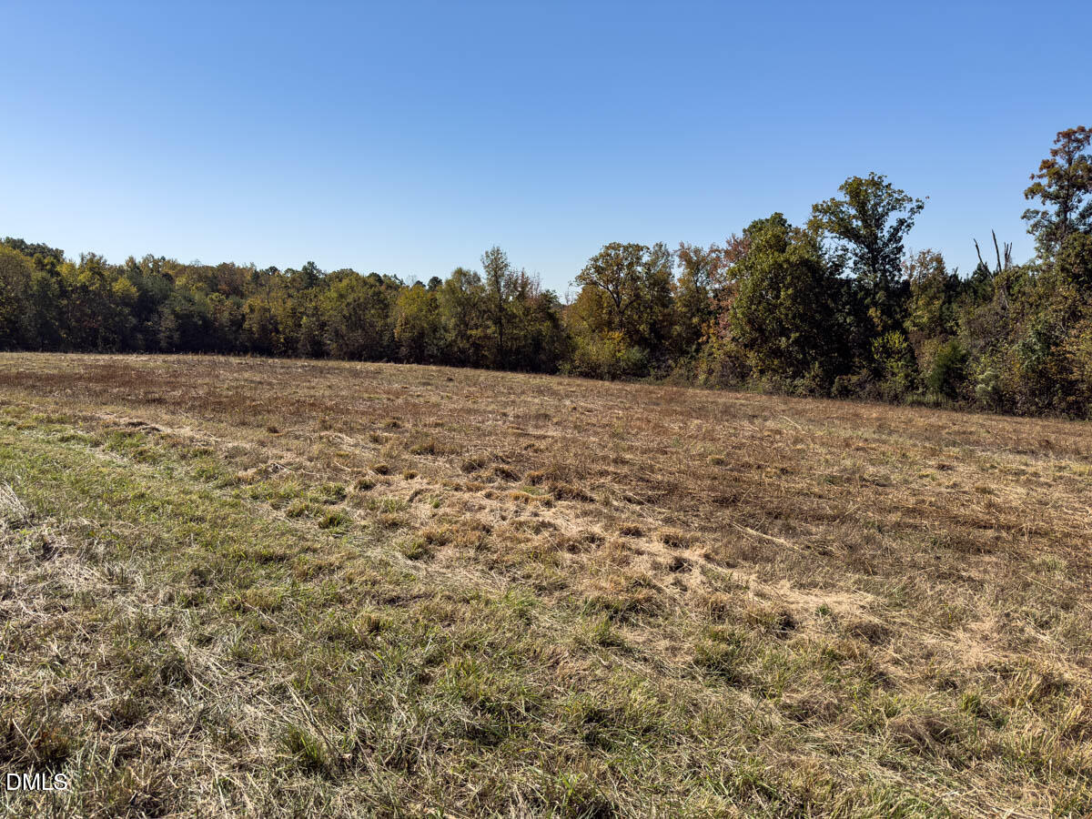 0 Ephesus Church Road Semora, NC 27343 - Photo 35 of 45 a view of an outdoor space and a yard