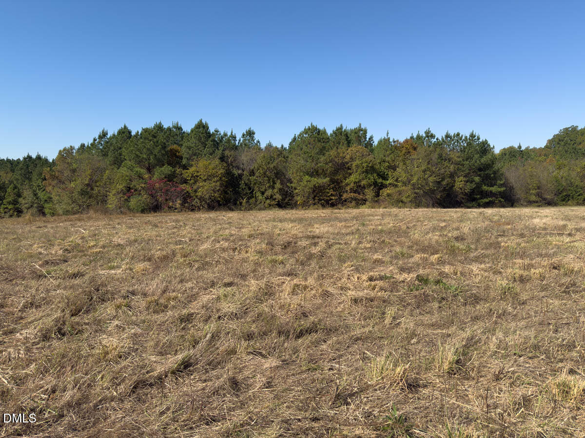 0 Ephesus Church Road Semora, NC 27343 - Photo 41 of 45 a view of an outdoor space and a yard