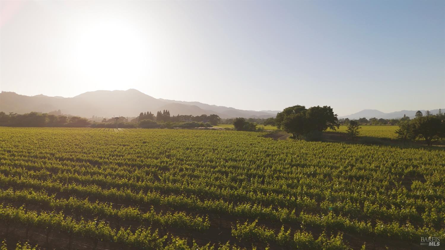 1300 Yount Mill Road Napa, CA 94558 - Photo 12 of 12