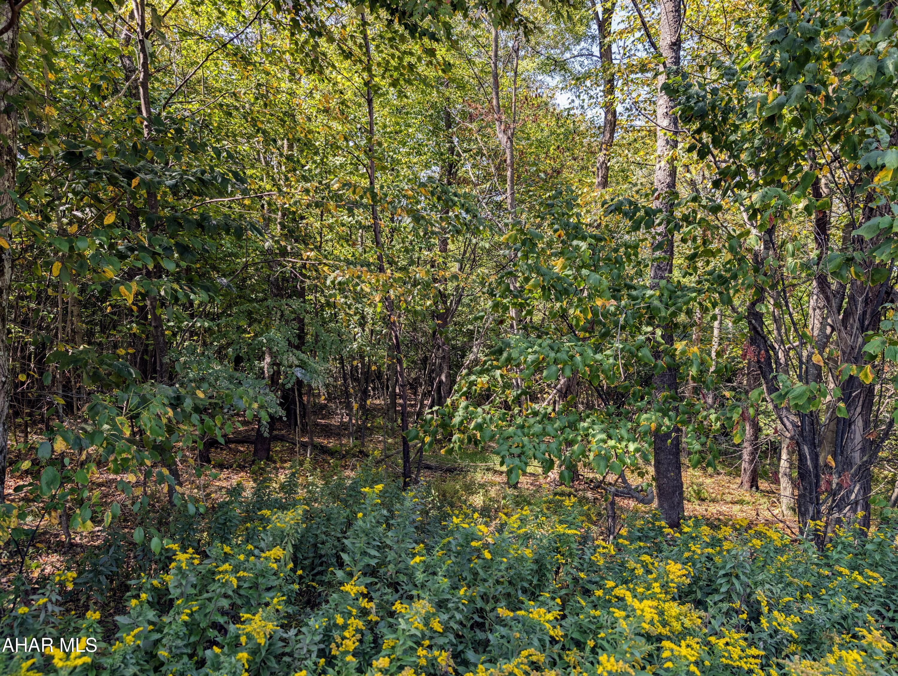 1849 Poplar Run Road Duncansville, PA 16635 - Photo 15 of 44 Gallery Image 15