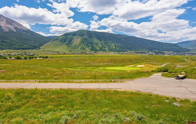 a view of a large yard with an outdoor space and trees