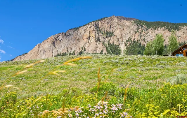 a view of an outdoor space and a yard
