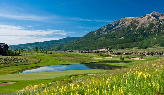 a view of an outdoor space yard and mountain