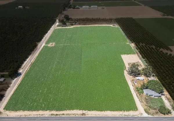 a view of a back yard of the house