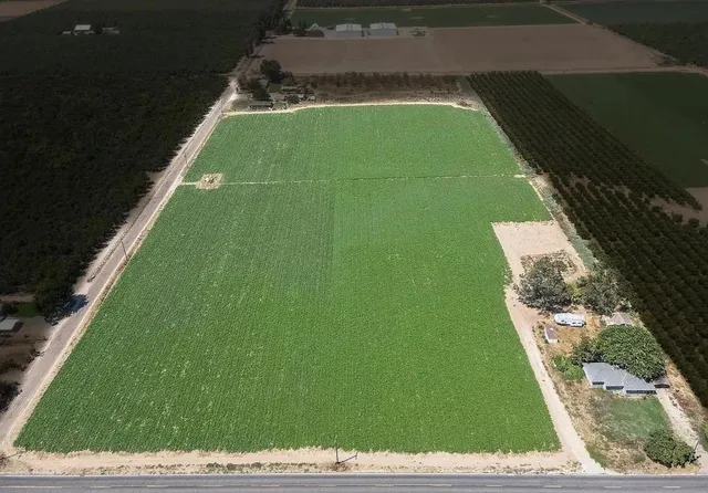 a view of a back yard of the house