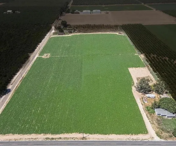 a view of a back yard of the house