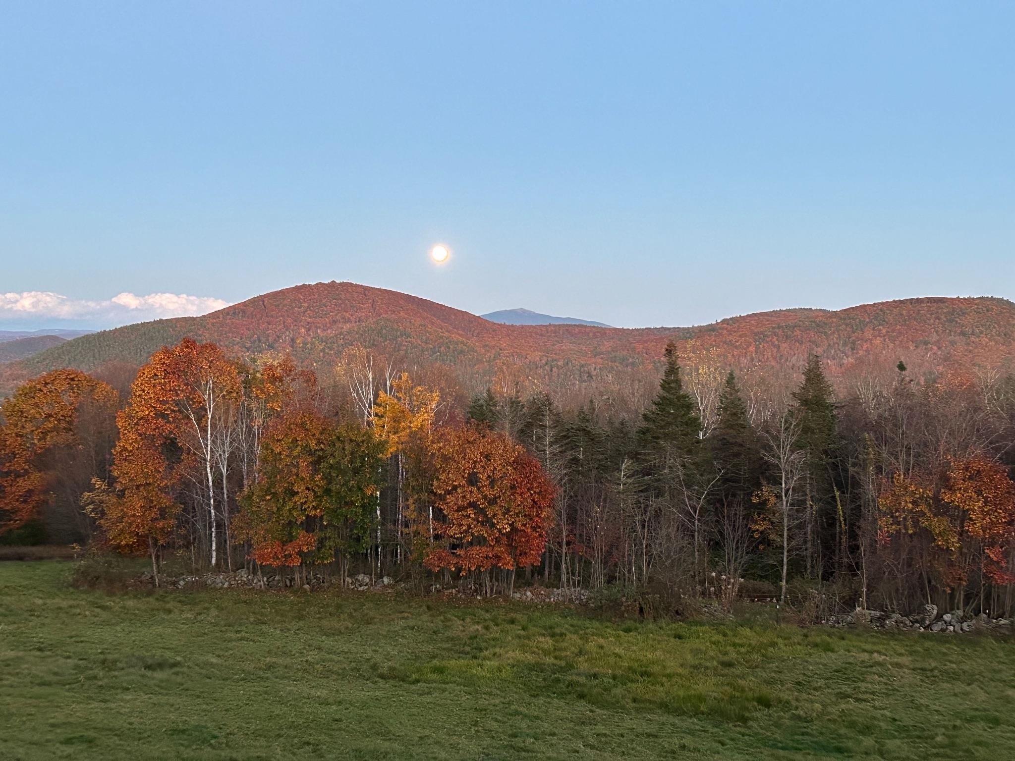 463 Old Spofford Road Winchester, NH 03470 - Photo 33 of 60 Gallery Image 33