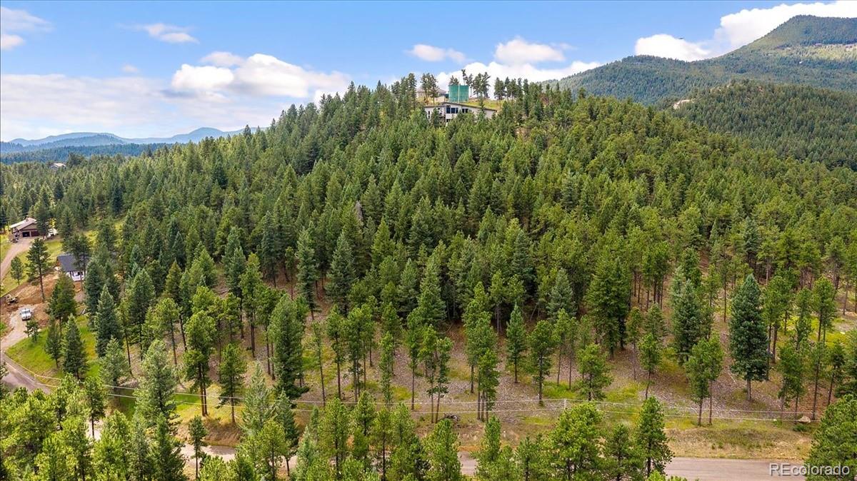 7303 Plowsher Way Morrison, CO 80465 - Photo 12 of 12 a view of a city with lush green forest