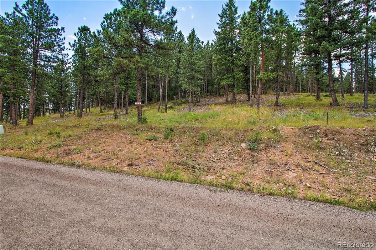 7303 Plowsher Way Morrison, CO 80465 - Photo 2 of 12