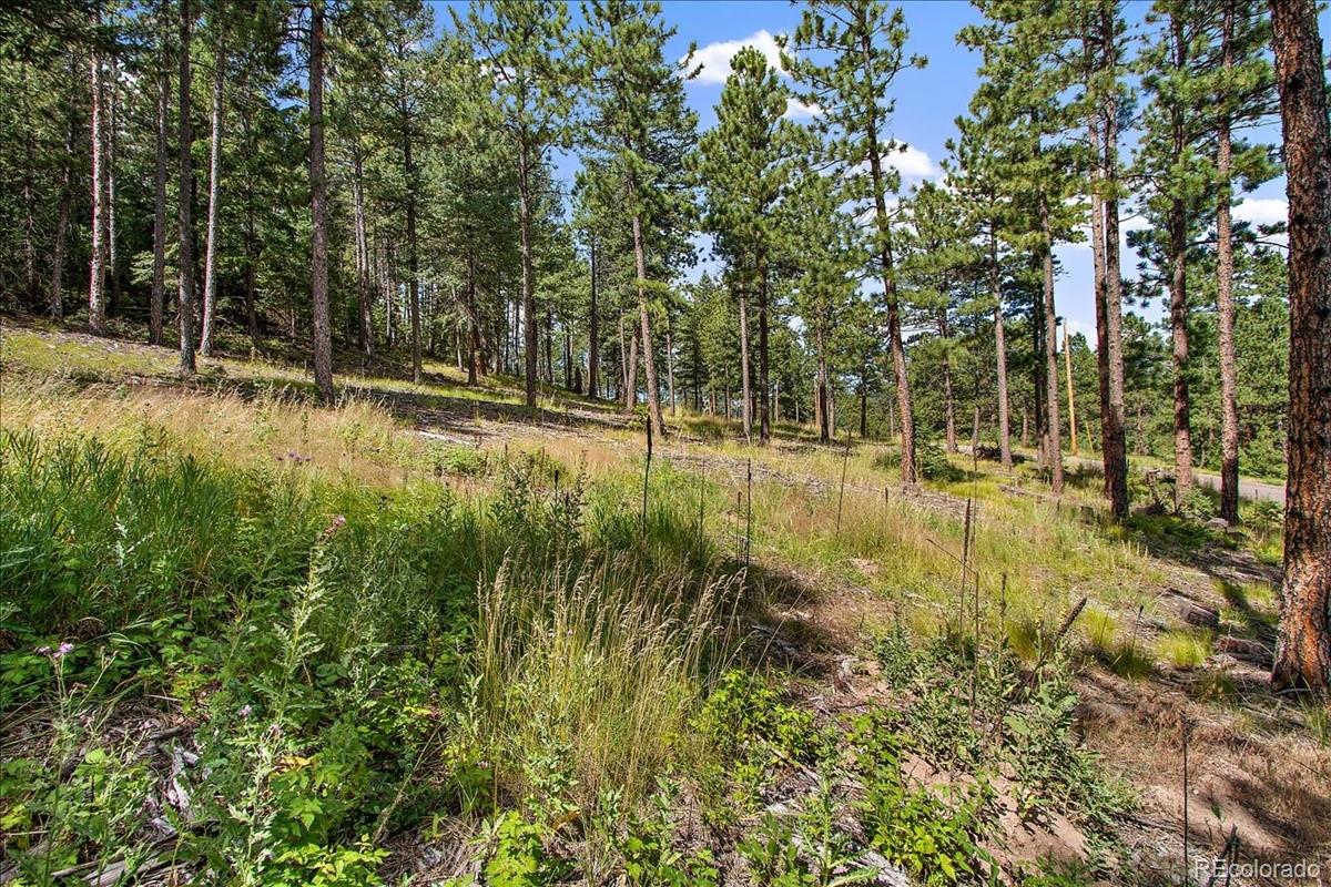 7303 Plowsher Way Morrison, CO 80465 - Photo 5 of 12 a view of back yard