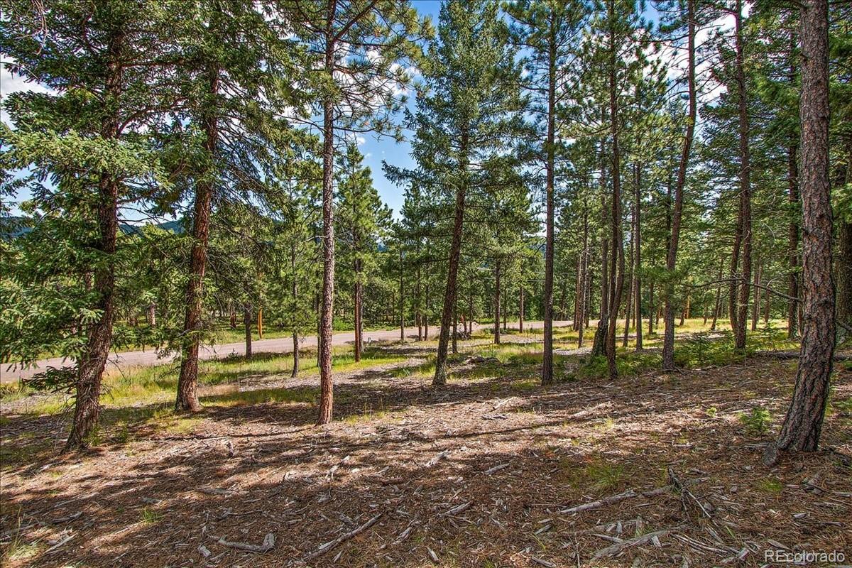 7303 Plowsher Way Morrison, CO 80465 - Photo 7 of 12 a view of park with trees