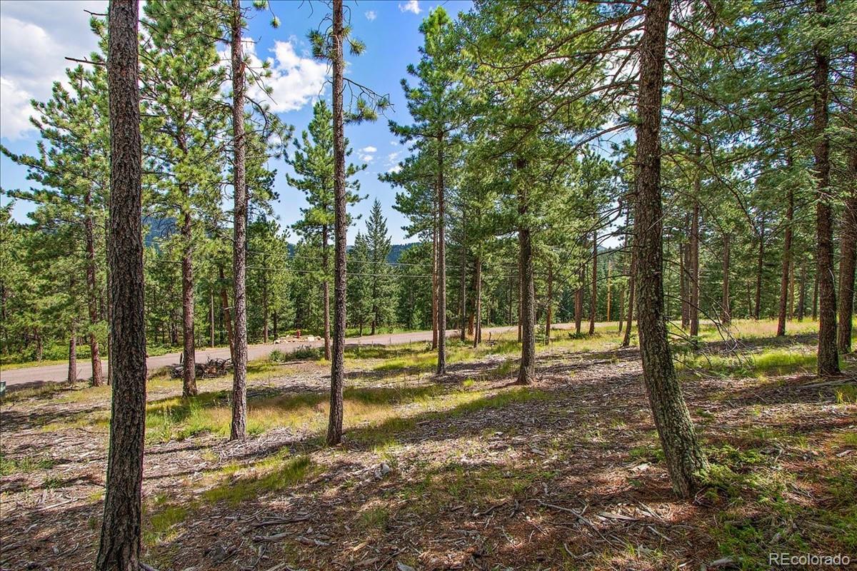 7303 Plowsher Way Morrison, CO 80465 - Photo 9 of 12 a view of a yard with swimming pool