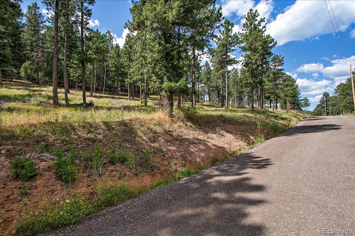 7303 Plowsher Way Morrison, CO 80465 - Photo 10 of 12 a view of a park with large trees