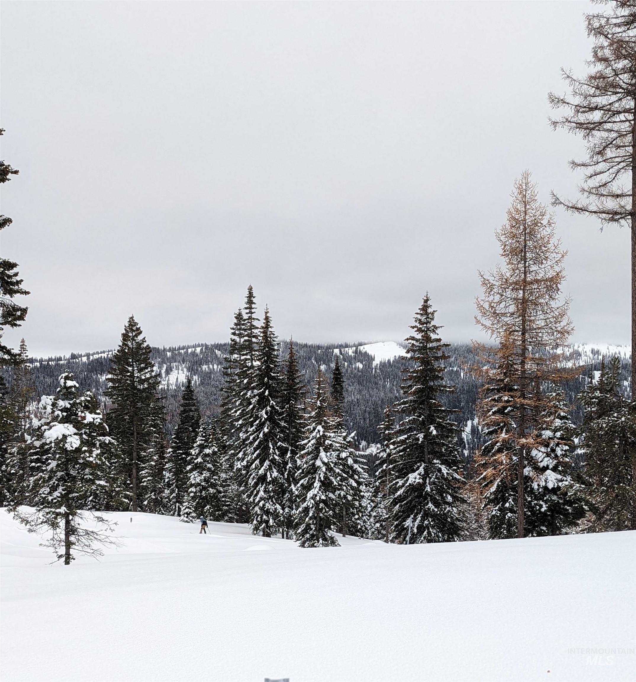 Tbd Tbd North Loop New Meadows, ID 83654 - Photo 11 of 12