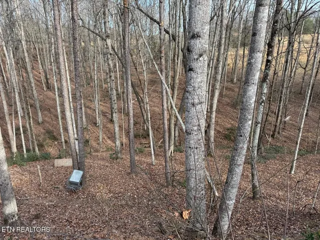 $475,000 | 598 Ted Brooks Road, Jamestown, TN 38556