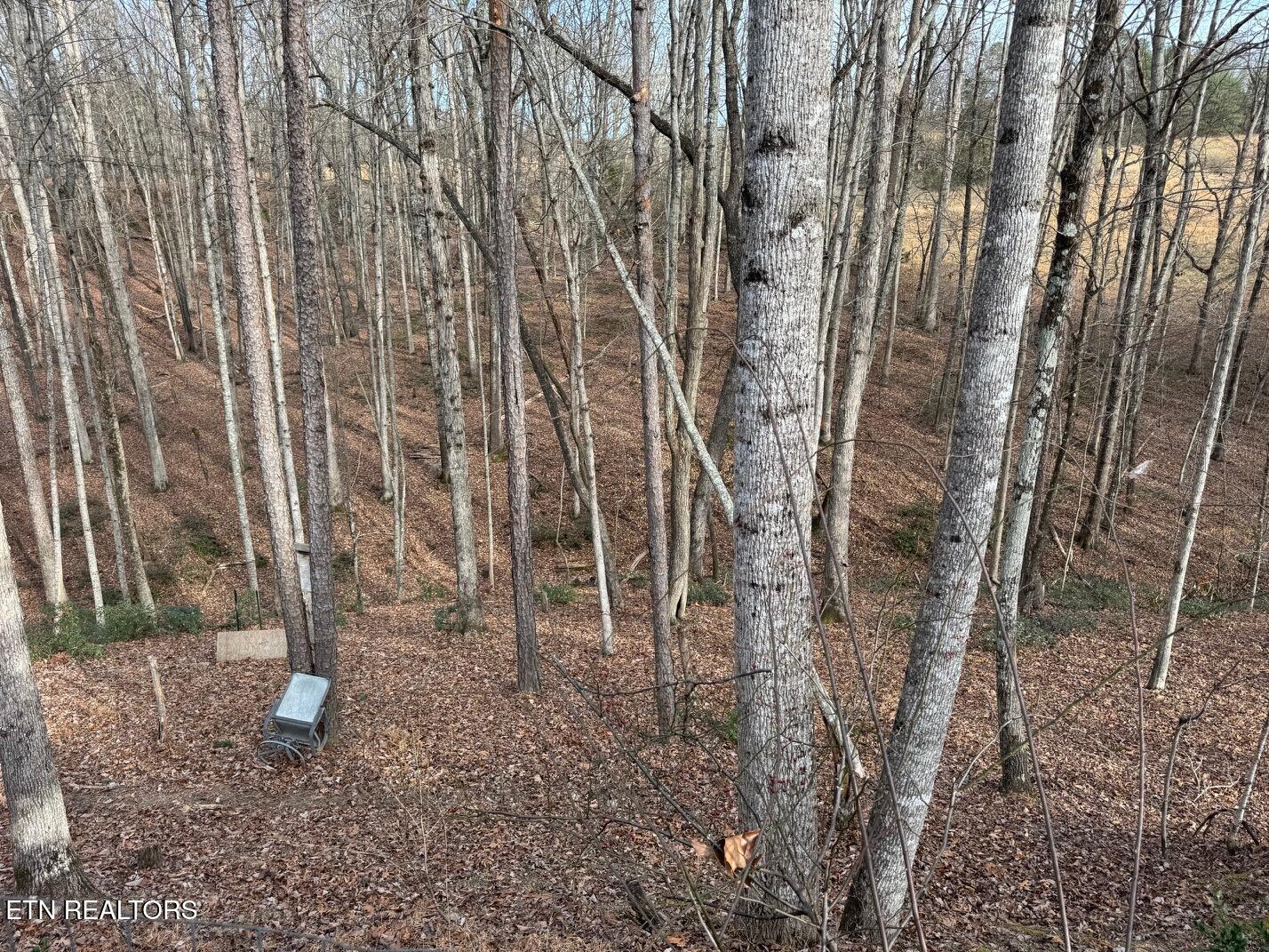 598 Ted Brooks Road Jamestown, TN 38556 - Photo 56 of 60 ted brooks 44