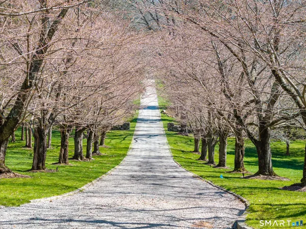 a walkway with trees on sides