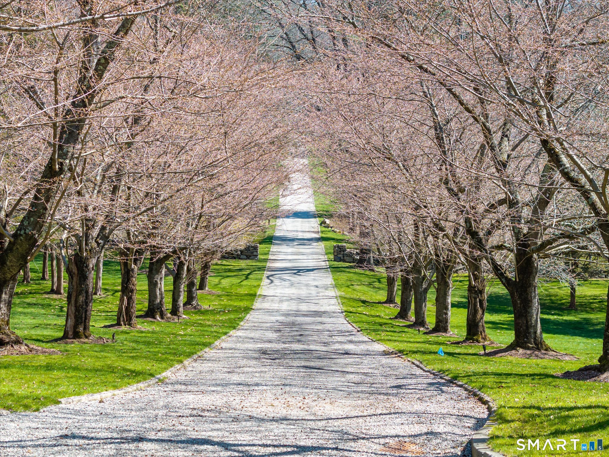 a walkway with trees on sides