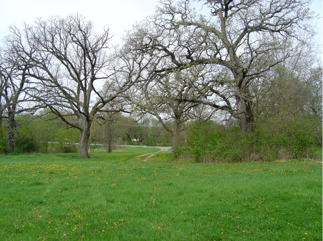6N757 Dunham Road Wayne, IL 60184 - Photo 1 of 14 a view of a big yard with large trees