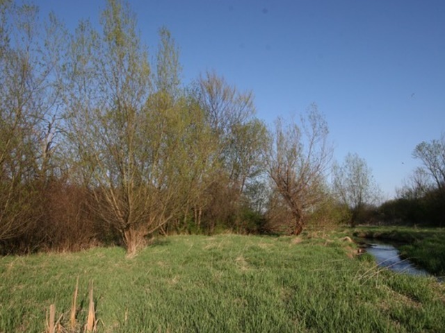 6N757 Dunham Road Wayne, IL 60184 - Photo 11 of 14 a view of a yard