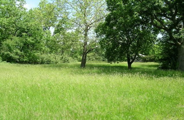 6N757 Dunham Road Wayne, IL 60184 - Photo 12 of 14 a view of green field with trees in the background